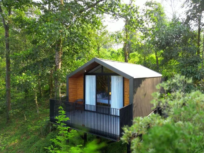 Double Chalet with view