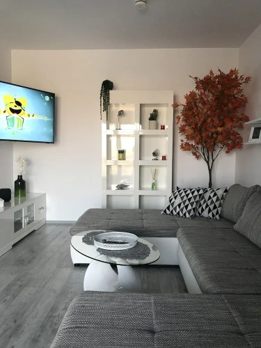 Luxury Double Apartment with city view