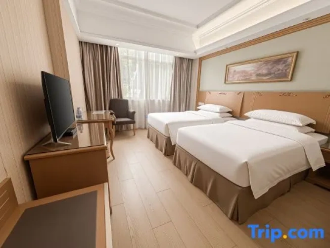 Deluxe Double Family room
