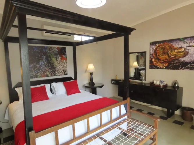 Deluxe Double room with view