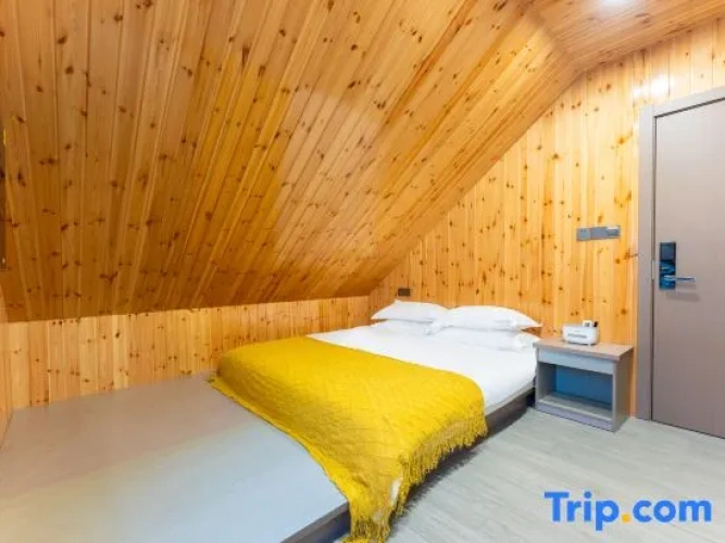Standard Double Attic room
