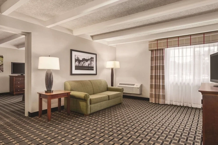 1 Bedroom Suite