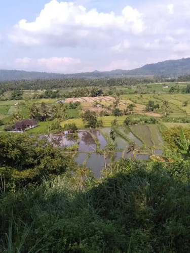 Pondok Alam Bukit