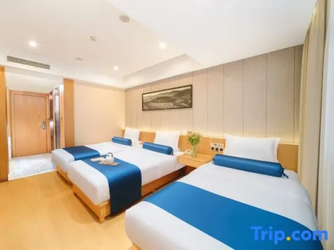 Comfort Triple room with city view