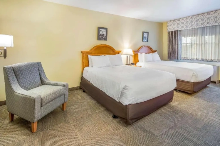 Standard Double room