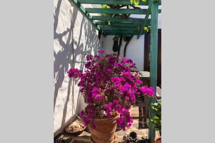 Casa Alegria II