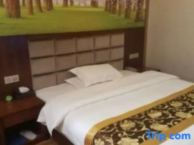 Comfort Suite