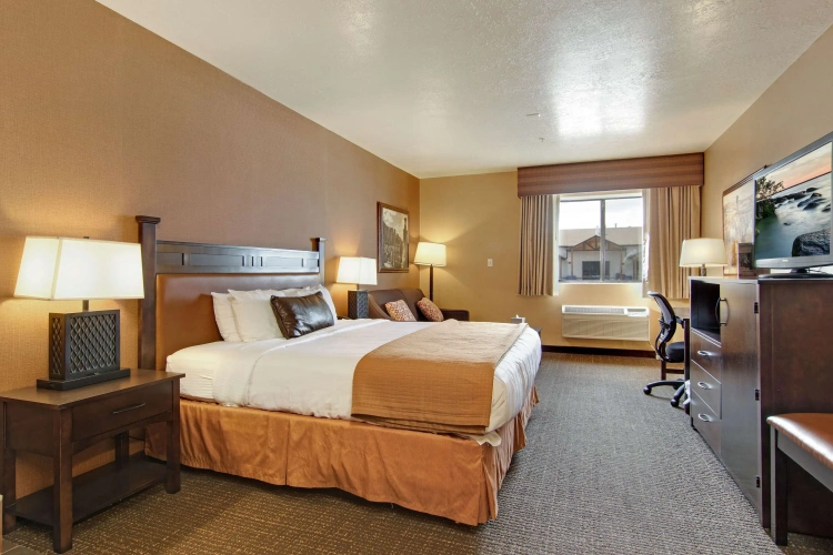 Standard Accessible room