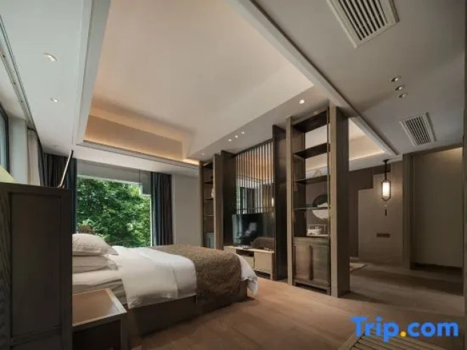 Premium Suite