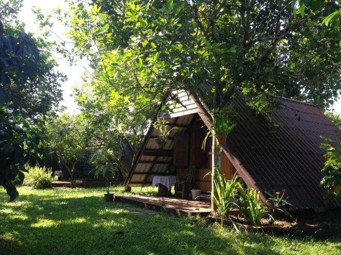 Standard Double room with garden view