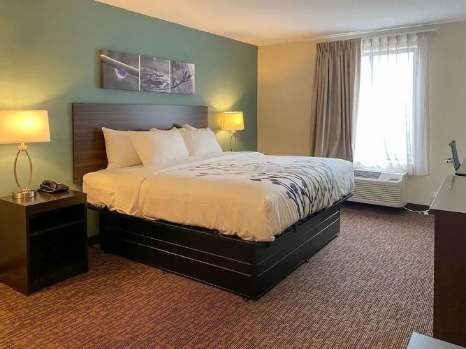 Standard Double room