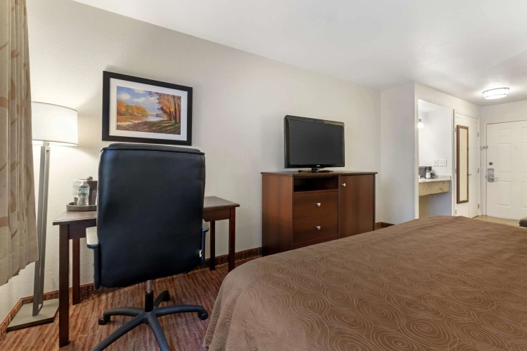 Standard Double room with lake view