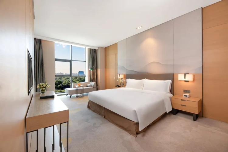 1 Bedroom Suite