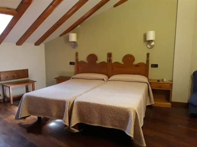 Standard Twin Attic room