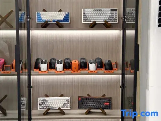 SenLinQiJing E-Sport hotel