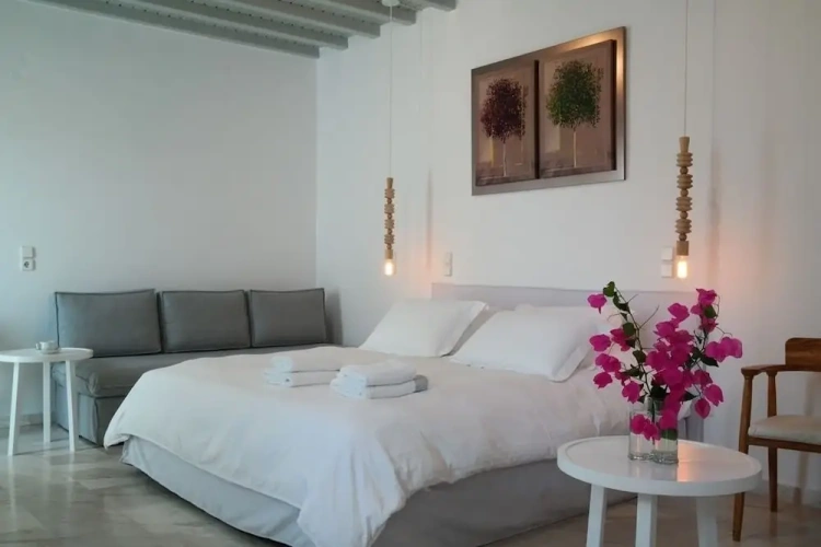1 Bedroom Standard room