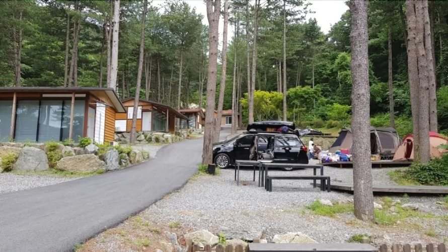 Yumyeongsan Healing Camp - Campsite