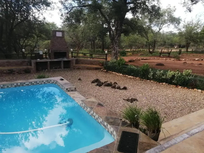 Flight of the Eagle @ Kruger