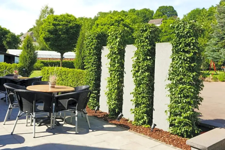 Hotel Kickert