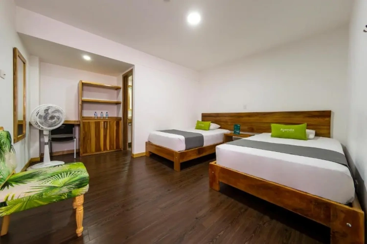 Standard Twin room