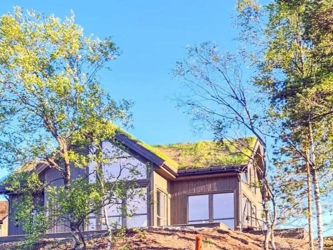 Cottage