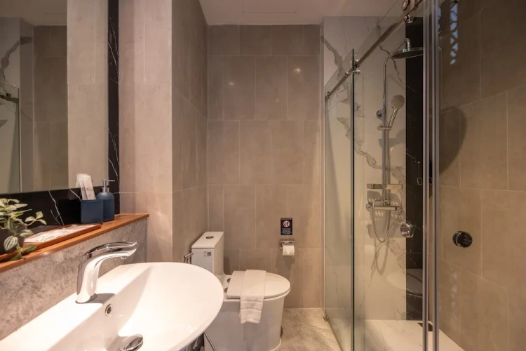 Deluxe Twin room with balcony and with city view