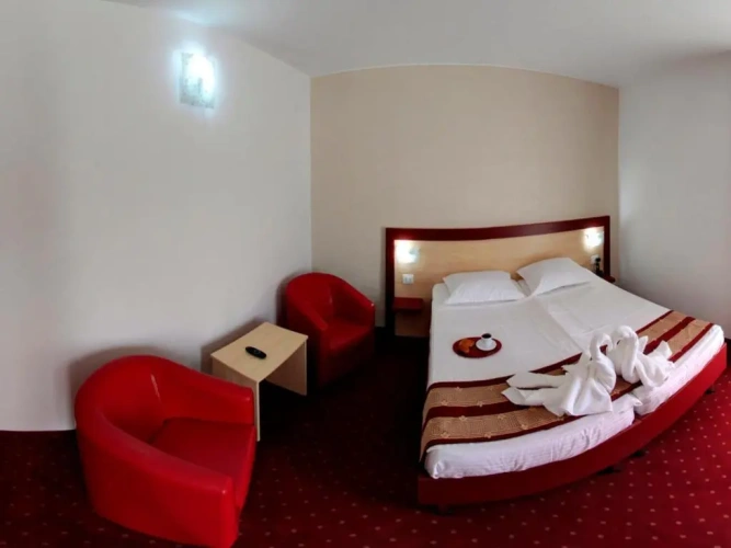 Standard Double room with balcony and with sea view