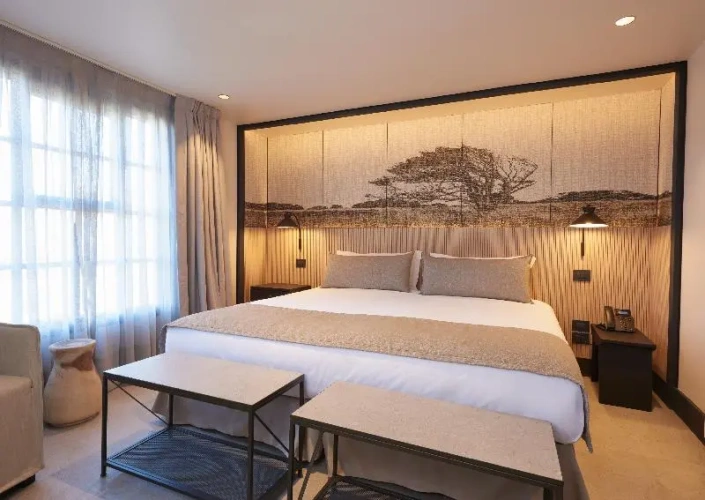 Superior Single room