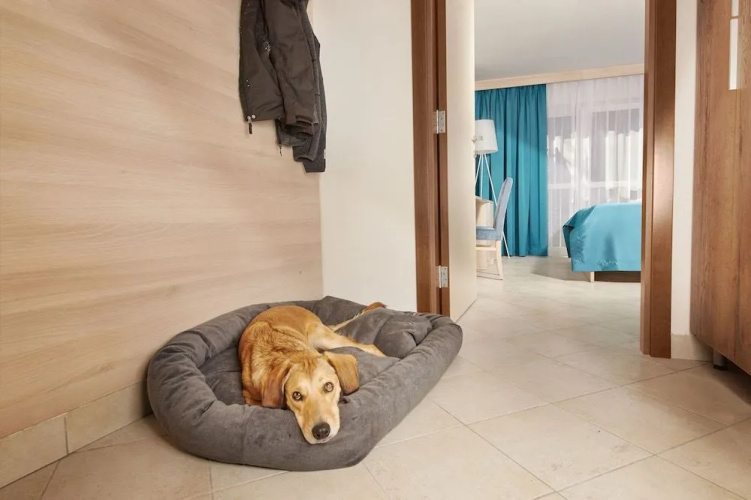 Villas - Hotel & Resort Adria Ankaran