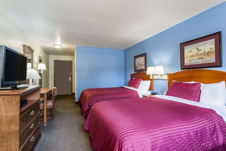 Business Quadruple room