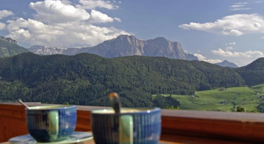 Naturchalet Kirchwies - Adults Only