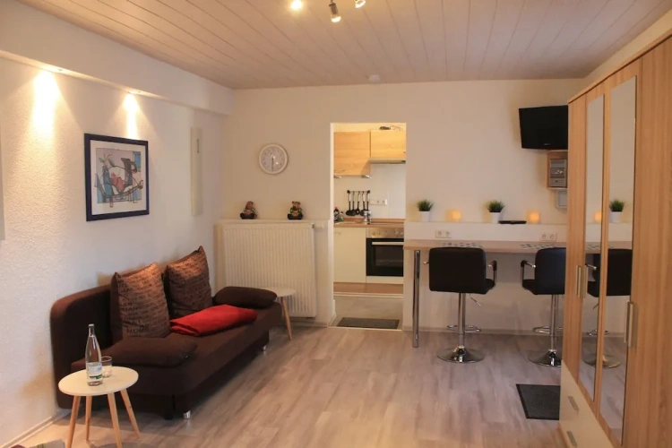 Comfort Apartment