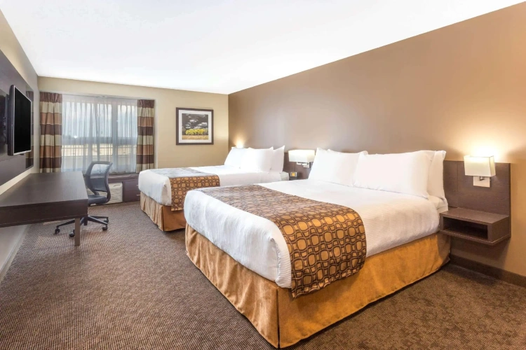 Business Quadruple room