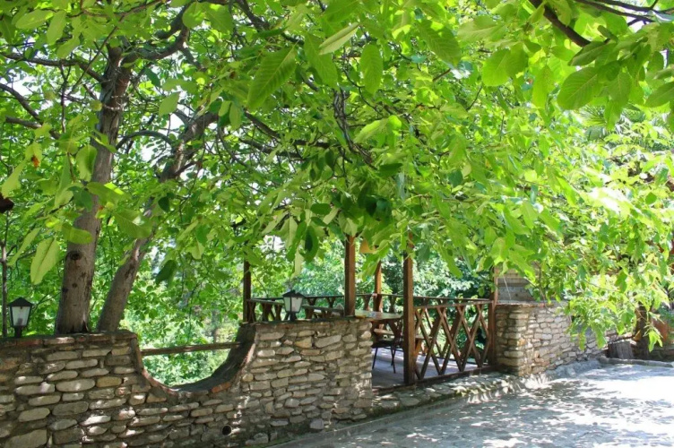 Rebi Gurjaani