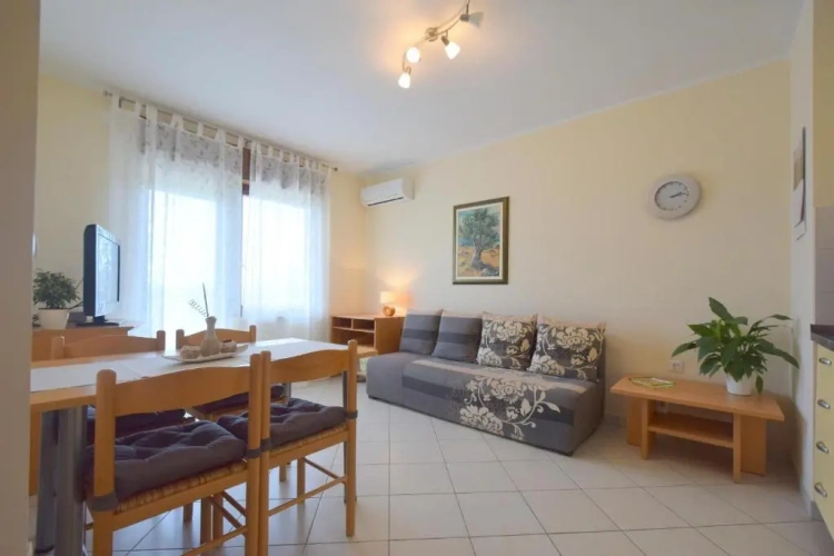 1 Bedroom Standard Apartment