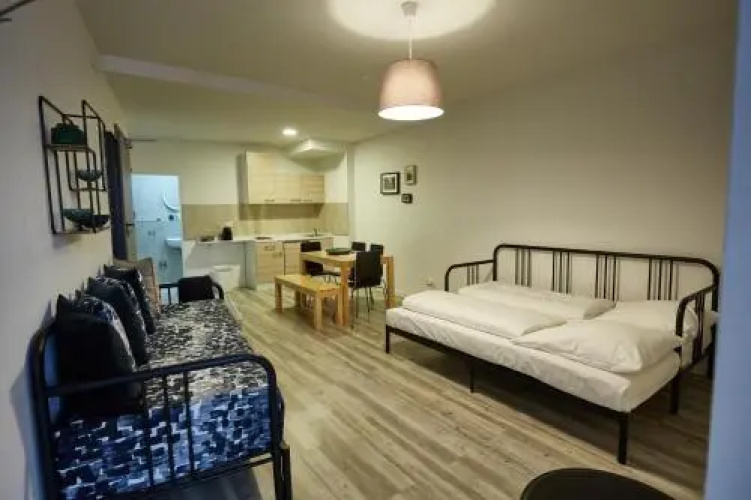 Central Studio Apartments
