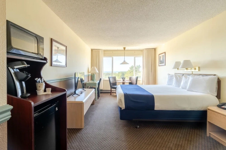 Standard Double room with partial ocean view
