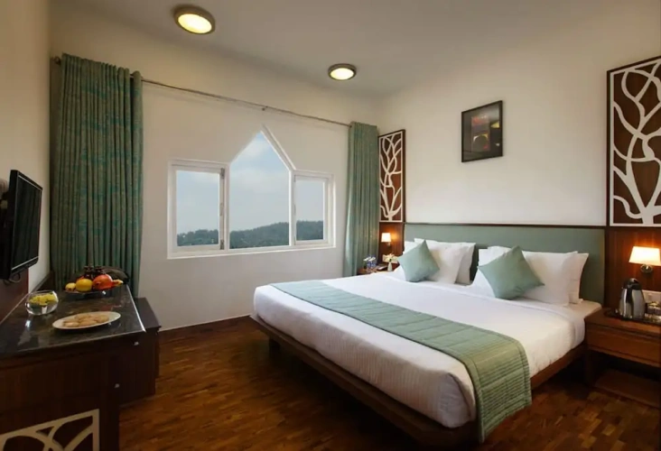Premier room with view