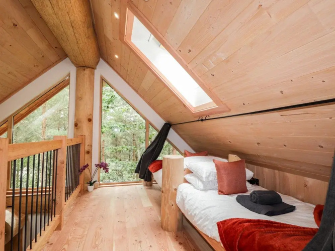 Pine Marten Lodge