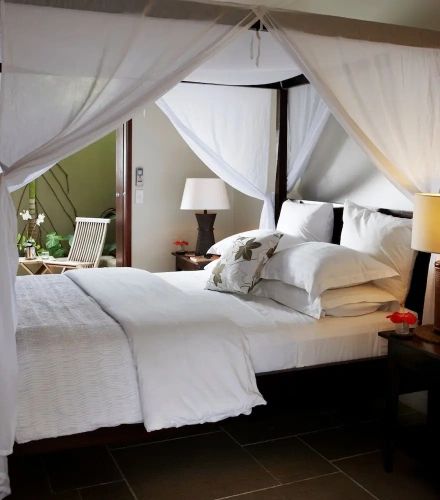 1 Bedroom Luxury Villa