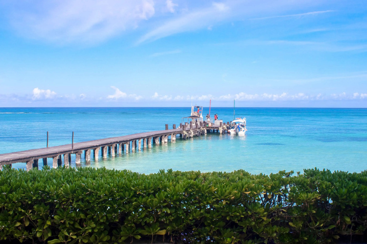 Occidental Cozumel photo 28
