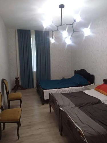 Amazing apartment in Signagi