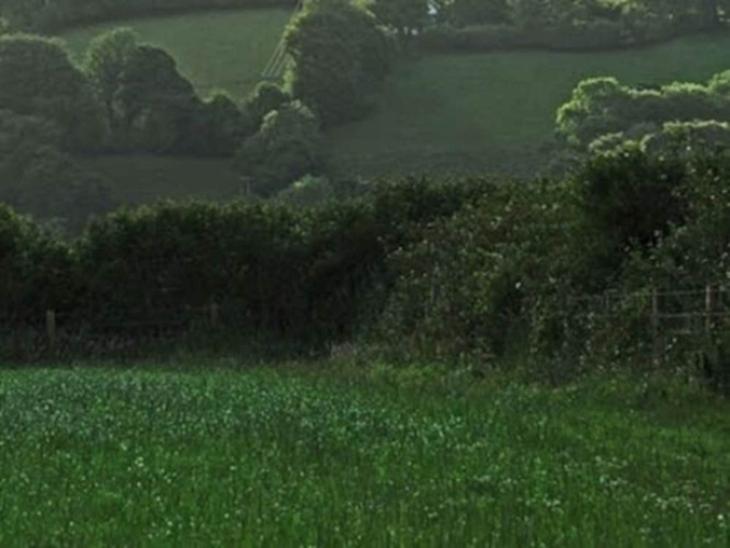 Dorset Farm