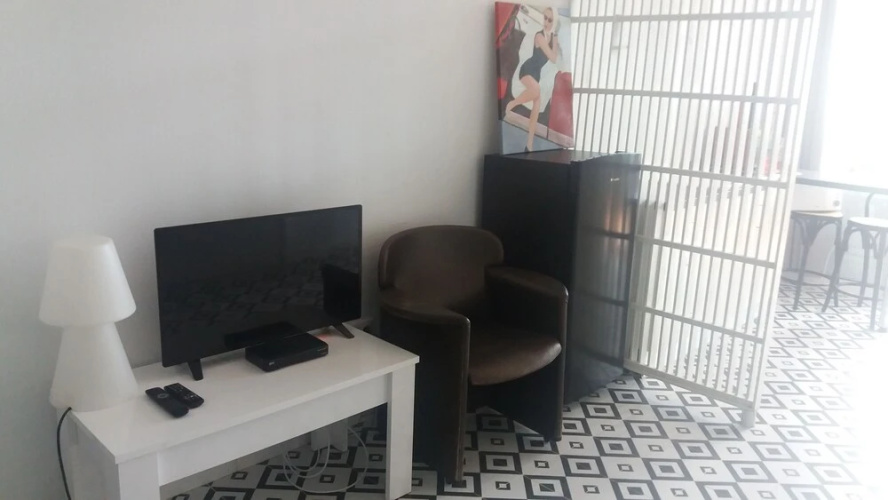Sunrise Studio Zebra