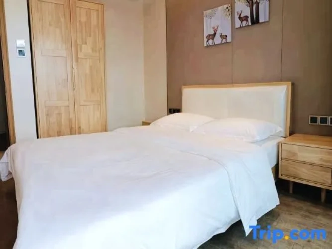1 Bedroom Standard Double room with view