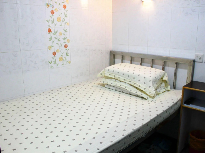 Pay-Less Guest House - Hostel