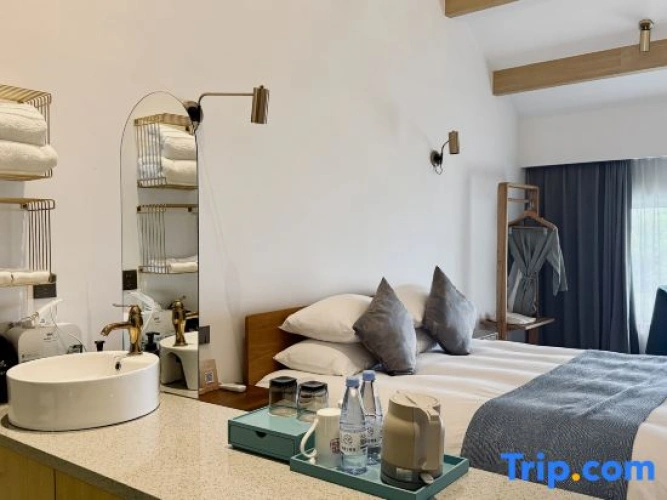 Standard Double room with mountain view