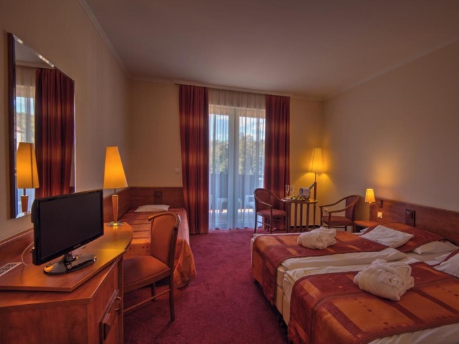 Standard Twin room with pool view