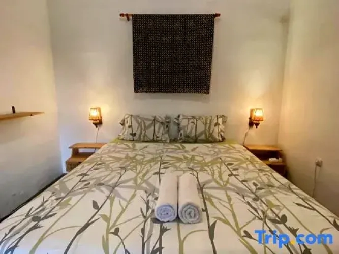 Standard Twin Family room
