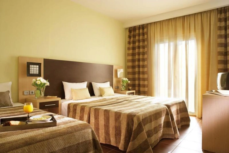 Standard Double room with balcony and with view